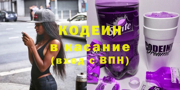 прущие грибы Алзамай