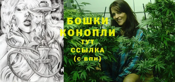 крисы Армянск