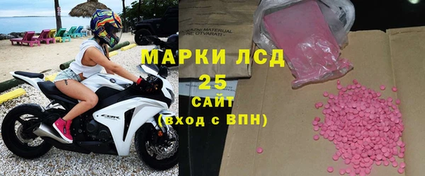 прущие грибы Алзамай