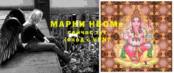 прущие грибы Алзамай