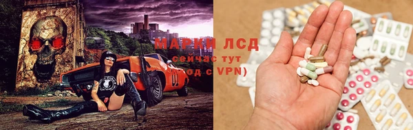 прущие грибы Алзамай