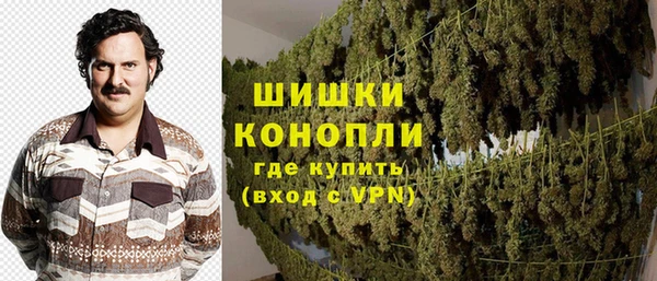 прущие грибы Алзамай