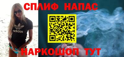прущие грибы Канаш