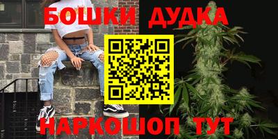 прущие грибы Канаш