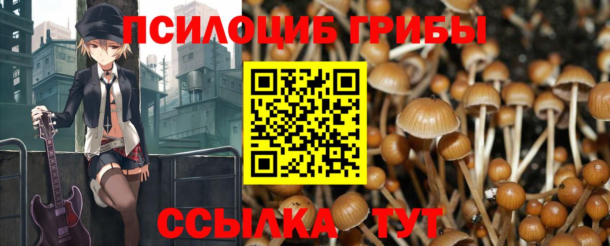 Глазов  Галлюциногенные грибы Cubensis  Вход с VPN 